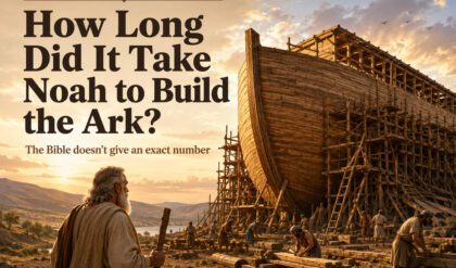 How long did it take noah to build the ark