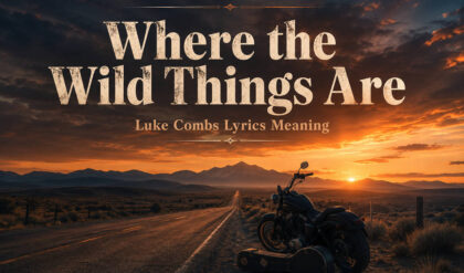 Luke combs where the wild things are lyrics
