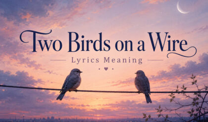 Two birds on a wire lyrics