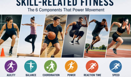 Explain how the components of skill related fitness are interrelated and how each is of importance