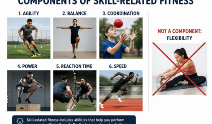 Which of the following is not a component of skill related fitness